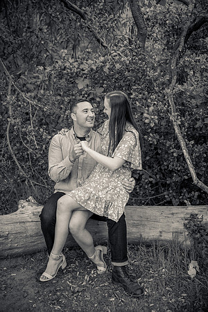 Engagement Photos Irvine Regional Park - David England Photography-072