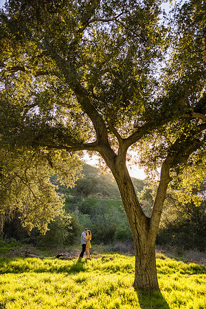 Engagement Photos Irvine Regional Park - David England Photography-043