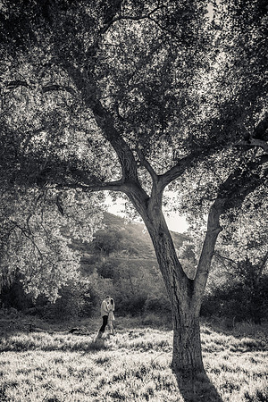 Engagement Photos Irvine Regional Park - David England Photography-045