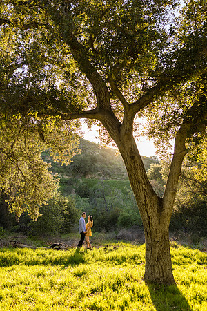Engagement Photos Irvine Regional Park - David England Photography-049