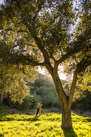 Engagement Photos Irvine Regional Park - David England Photography-047