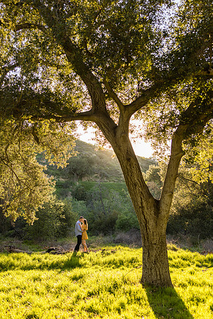 Engagement Photos Irvine Regional Park - David England Photography-044