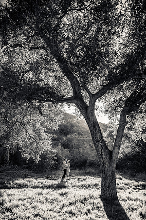 Engagement Photos Irvine Regional Park - David England Photography-041