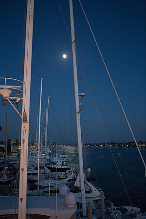 David England Photography-120