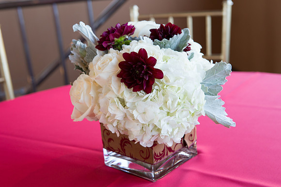 David England Photography-39