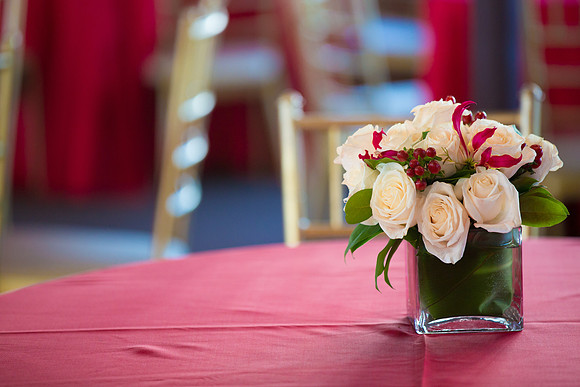 David England Photography-22