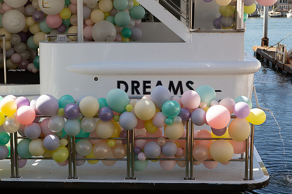 Endless Dreams Birthday Party-145
