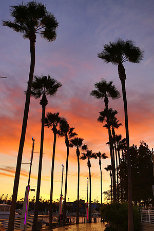 Long Beach Photography-22