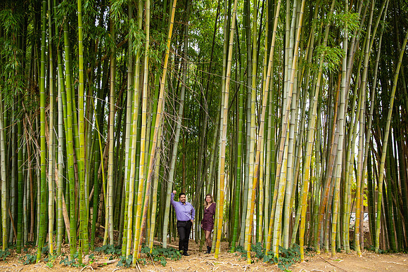 Los Angeles County Arboretum Photography-23