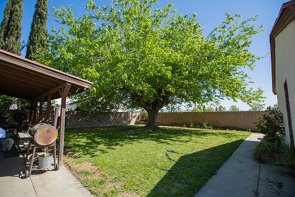 2569 Spruce St-45