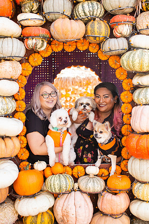 Mr. Bones Culver City Halloween Photographer-39
