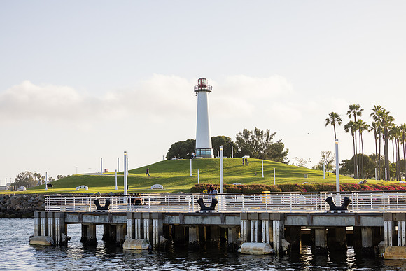 SSA Long Beach - David England Photography-093