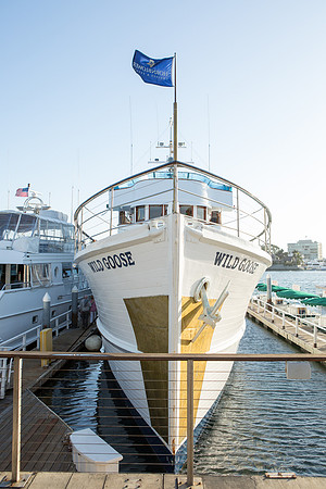 Wild Goose Hornblower-3