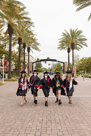 Chapman Baccalaureate -103