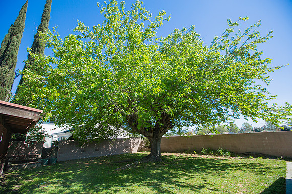 2569 Spruce St-39