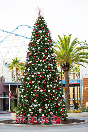 Event Photographer Long Beach-2