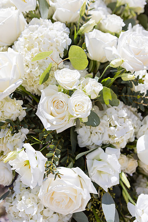 Wedding Photos at The Terra Laguna Beach ca-003
