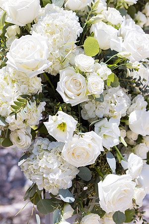 Wedding Photos at The Terra Laguna Beach ca-006