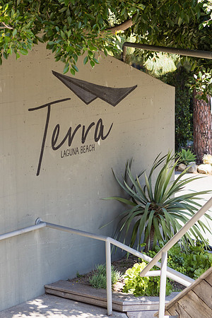 Wedding Photos at The Terra Laguna Beach ca-025