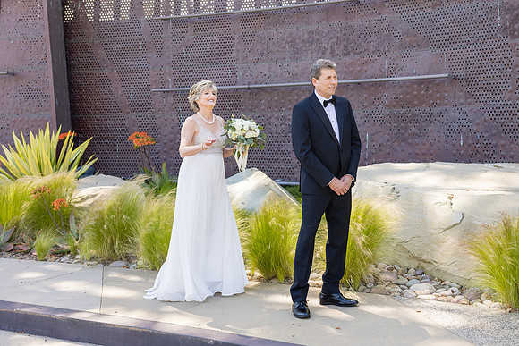 Wedding Photos at The Terra Laguna Beach ca-050