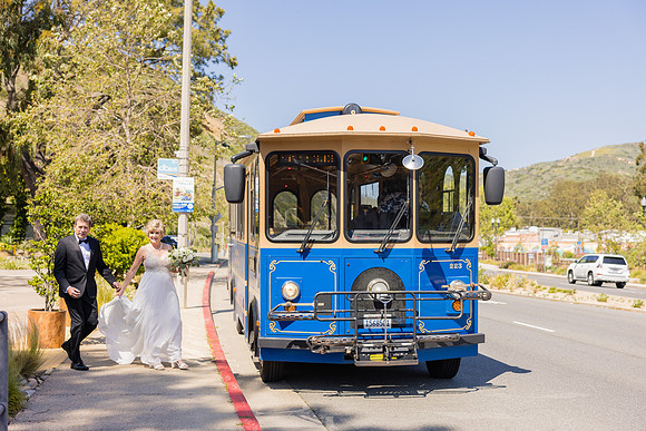 Wedding Photos at The Terra Laguna Beach ca-077