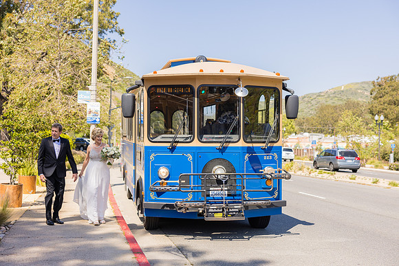 Wedding Photos at The Terra Laguna Beach ca-078
