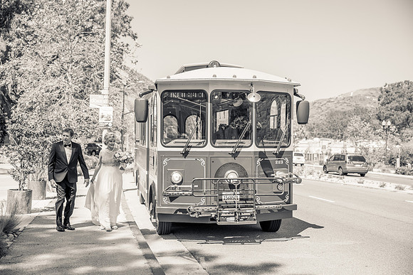 Wedding Photos at The Terra Laguna Beach ca-079