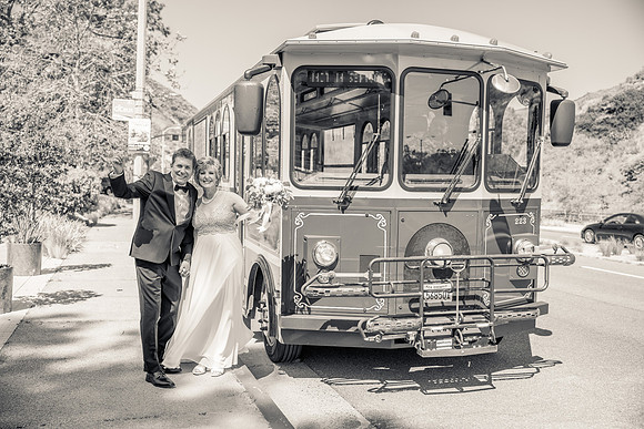 Wedding Photos at The Terra Laguna Beach ca-084