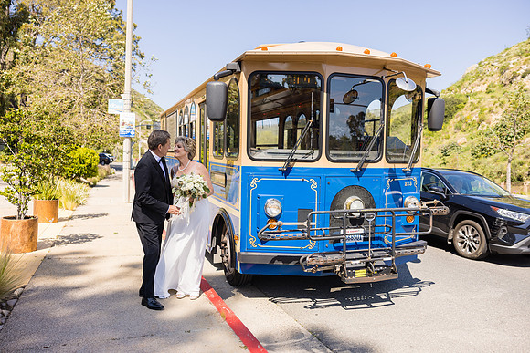 Wedding Photos at The Terra Laguna Beach ca-085