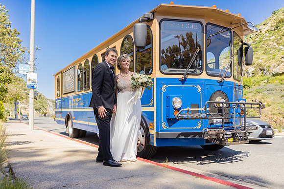 Wedding Photos at The Terra Laguna Beach ca-087