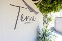 Wedding Photos at The Terra Laguna Beach ca-017