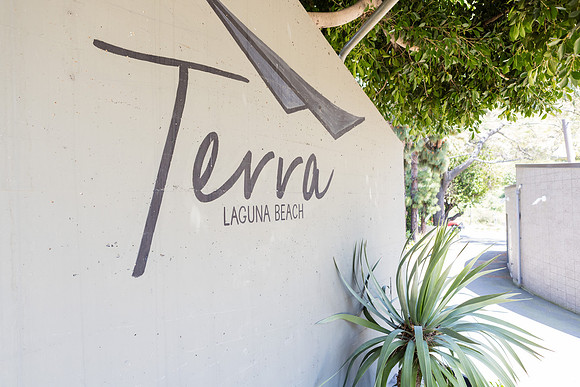 Wedding Photos at The Terra Laguna Beach ca-017