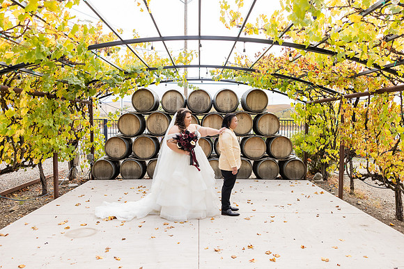 Wedding Photos Del Valle Winery Livermore Ca-129