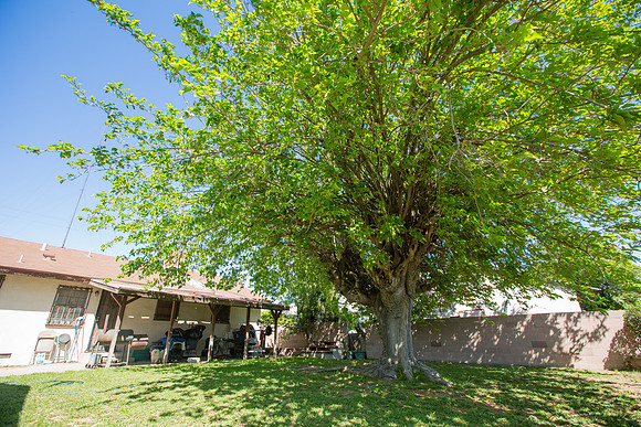 2569 Spruce St-41