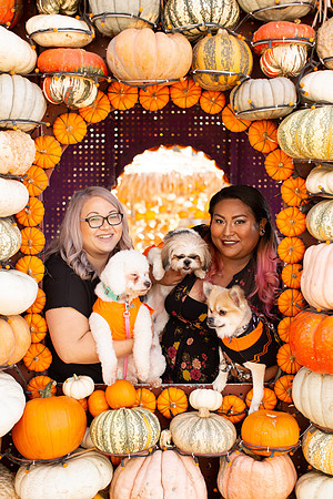 Mr. Bones Culver City Halloween Photographer-38