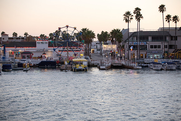 Wild Goose Hornblower-50
