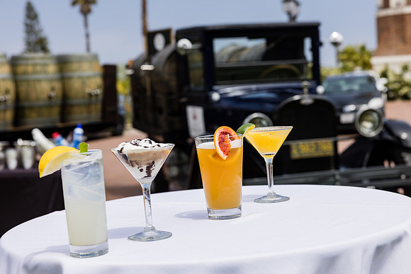 Hotel del Coronado Photographer-124