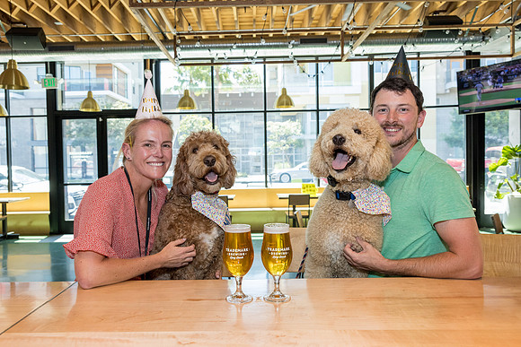 Pet Photographer Long Beach  - Trademark Brewing -064