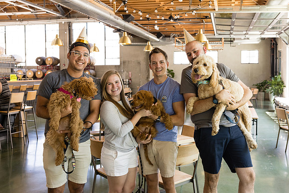 Pet Photographer Long Beach  - Trademark Brewing -135