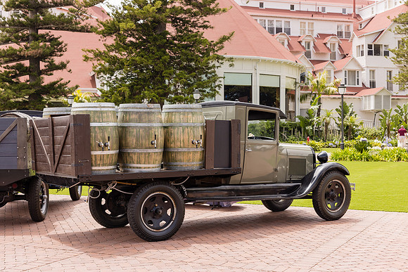 Hotel del Coronado Photographer-079