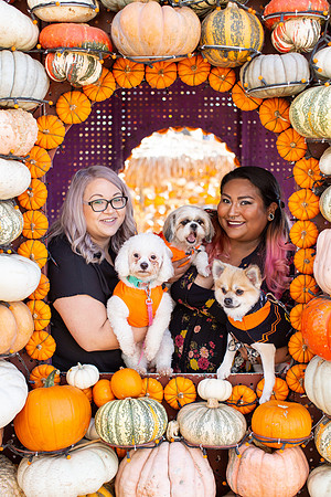 Mr. Bones Culver City Halloween Photographer-30