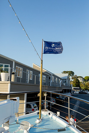 Wild Goose Hornblower-15