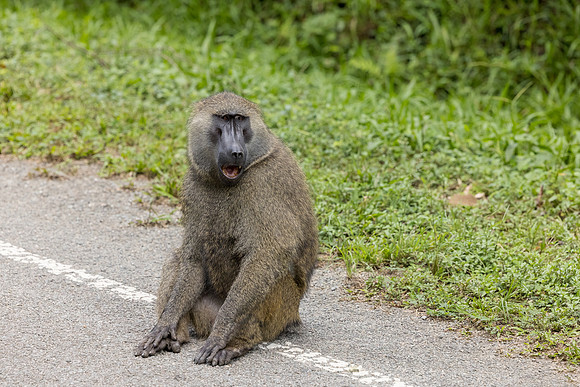 Africa Canon Camera-001