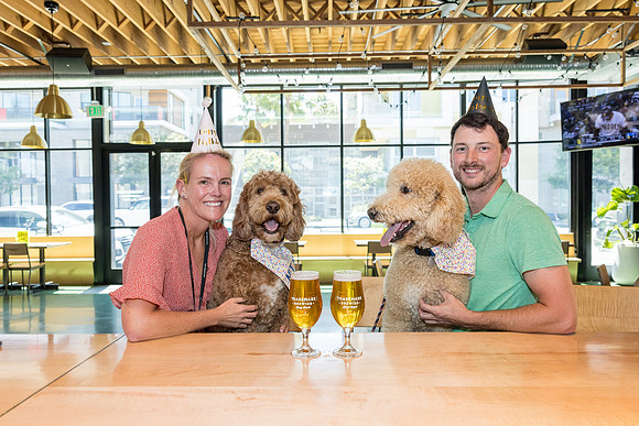 Pet Photographer Long Beach  - Trademark Brewing -061