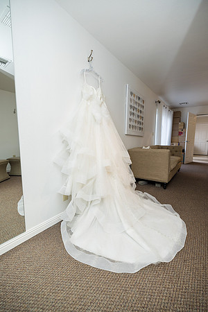 Wedding Photos Del Valle Winery Livermore Ca-034