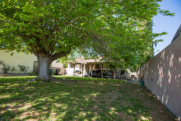 2569 Spruce St-42