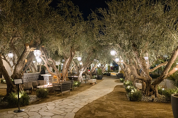 Horatio Alger Events Palm Springs 2025-13