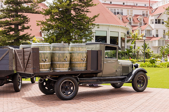 Hotel del Coronado Photographer-080