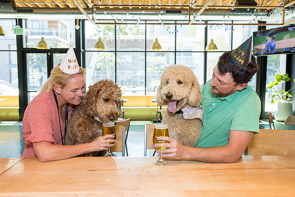 Pet Photographer Long Beach  - Trademark Brewing -066