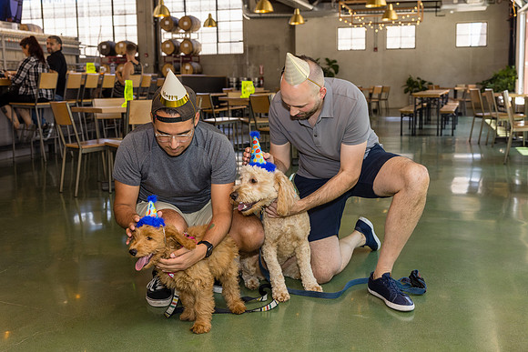 Pet Photographer Long Beach  - Trademark Brewing -116